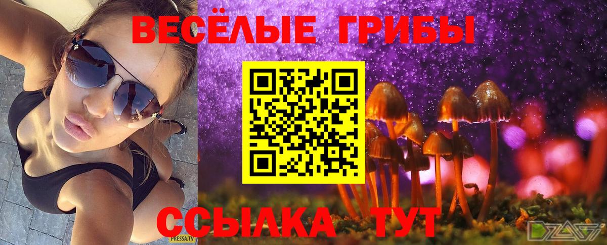 Галлюциногенные грибы Cubensis Благовещенск